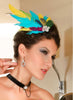 Colorful Feather Brooch N Hair Clip - Everything 5 Pounds